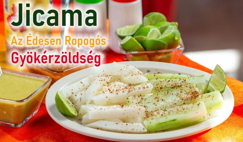 Jicama: Az Édesen Ropogós Gyökérzöldség